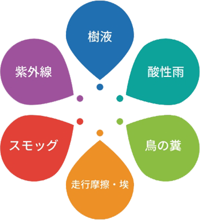 樹液、酸性雨、鳥の糞、走行摩擦、スモッグ、紫外線